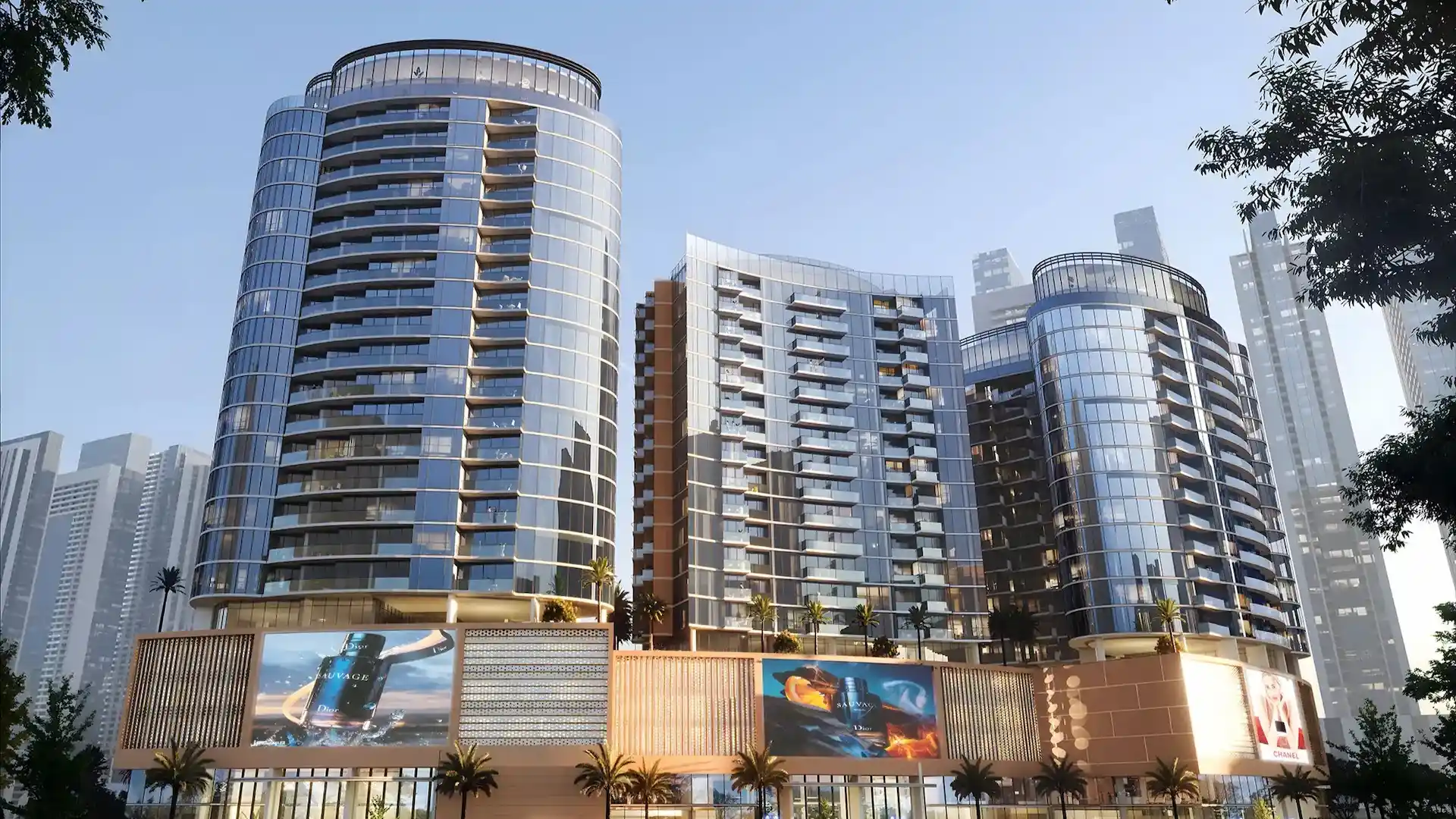 Tiger Downtown Ajman 5